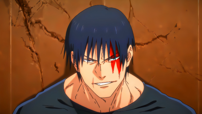 Toji Twixtor