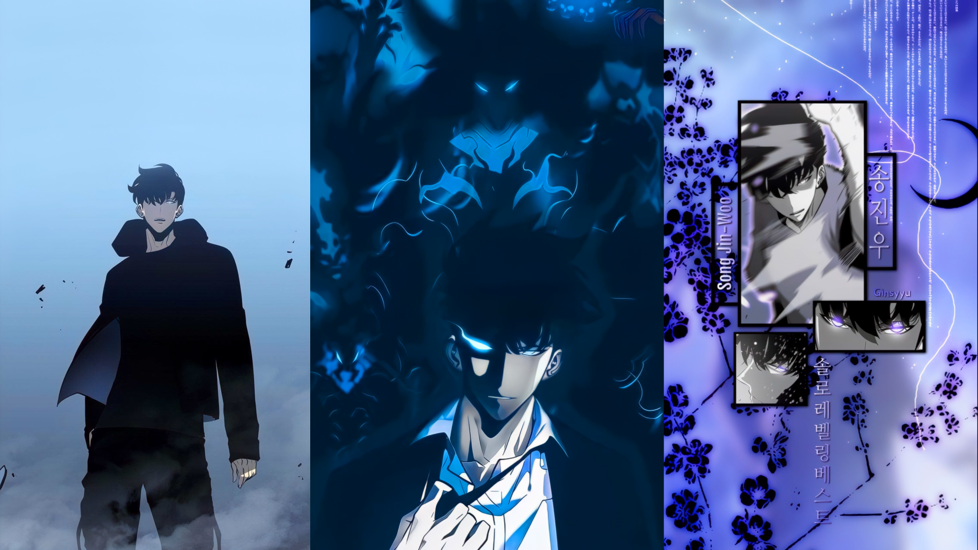 Sung Jin Woo Intro Wallpaper