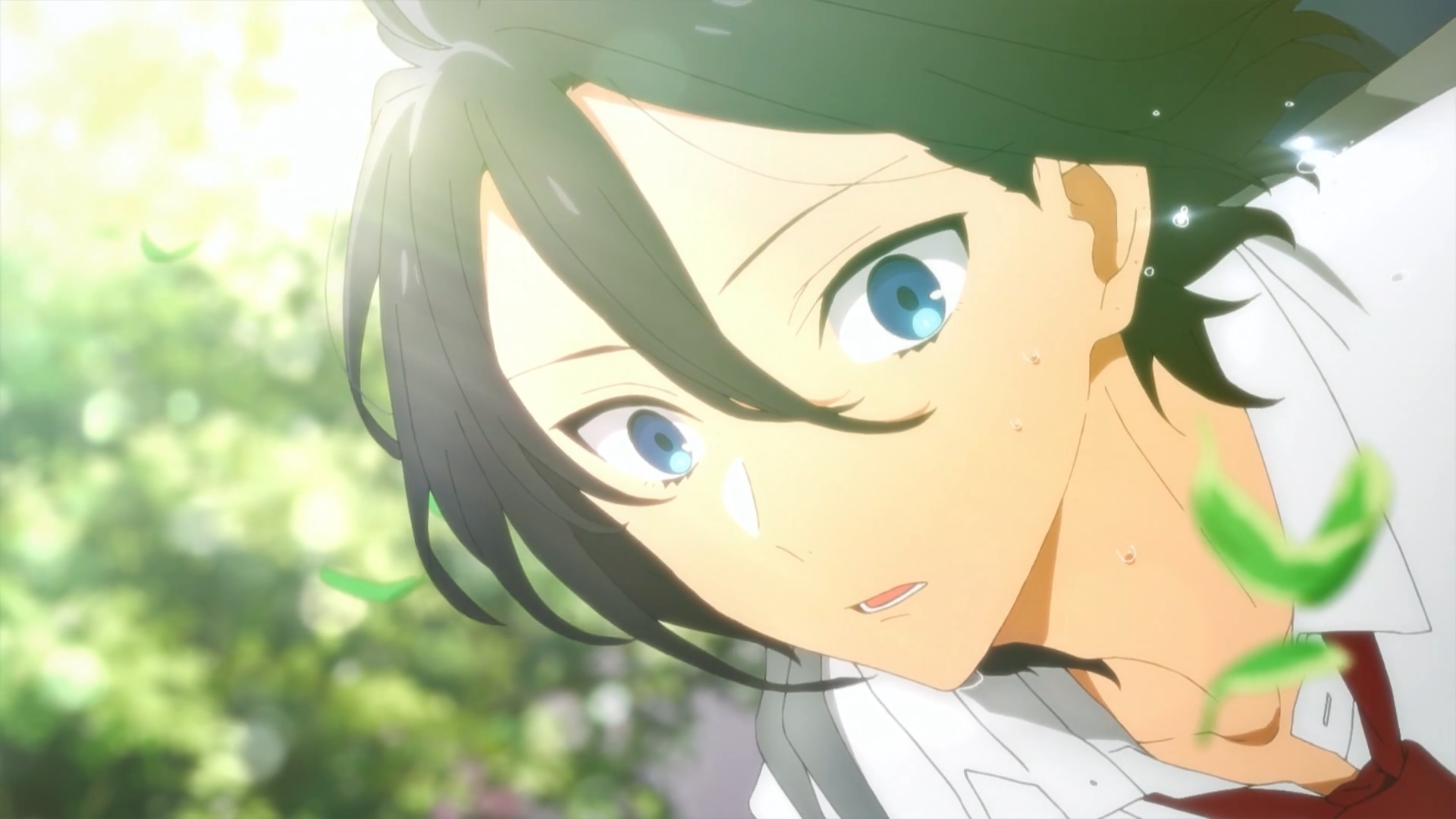 Izumi Miyamura Flow Frame